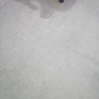 موکت رنگ سبز