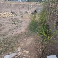 زمین