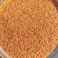 گلرنگ. ارزن. گندم. جو.  نخود|عمدهفروشی|رحمتآباد, |دیوار