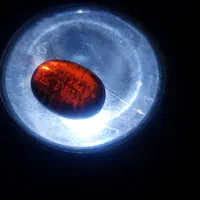 گردنبند یاقوت قدمت بالای 100 سال|جواهرات|پیشوا, |دیوار