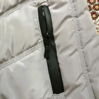 پافر نقره‌ای|لباس|قزوین, |دیوار