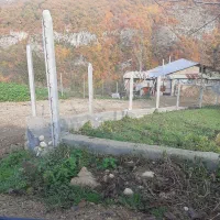 زمین ۲۵۰،۱۵۰متری در ولم