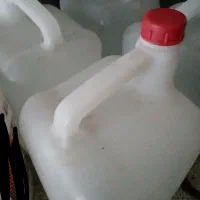 گلاب|گل و گیاه طبیعی|شیروان (خراسان), |دیوار