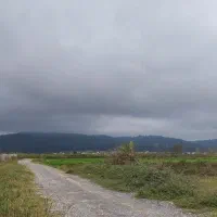 زمین.چمستان.نور.فولادکلا پلاک ۱ جنگل.۱۵۰متر|فروش زمین و ملک کلنگی|امامزاده عبدالله, |دیوار