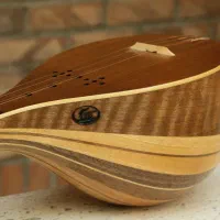 سه تار حرفه ای مصطفی مرآتی