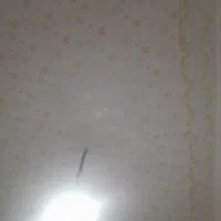 رنگ امیزی ساختمان. حرفه ای.