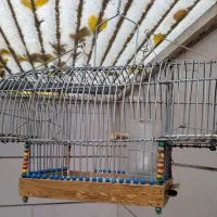 قفس تله دستساز|لوازم جانبی حیوانات|الوند, |دیوار