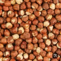 فندق خشک ، مغز فندق خشک|خوردنی و آشامیدنی|رشت, دیلمان|دیوار