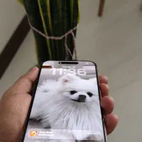 16pro max معاوضه فقط