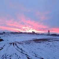 فروش کاه حدود ۵تن