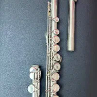 فلوت شصتی دار