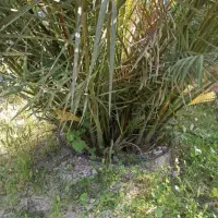 فروش خانه ویلایی ۸۰ متری ۱ خوابه