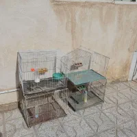 قفس پرنده مفت