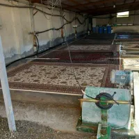 قالیشویی مبل شویی سادات سرویس به تمام نقاط اهواز