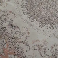 یک جفت ۹متری کارکرده