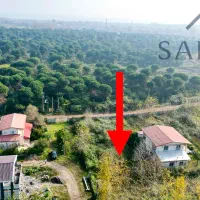 زمین-شهرکی-جنگلی-500متری-قابل-تفکیک-به-دو-قطعه