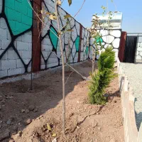 باغ/زمین/چار دیوار|فروش زمین و ملک کلنگی|شهریار, اصیل آباد|دیوار