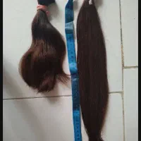 خریدار موی طبیعی بالای ۵۰ سانت
