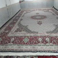ترین دار