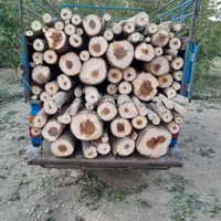 خرید و برش انواع درخت و چوب و هرس درختان لشنی|خدمات باغبانی و درختکاری|دورود, |دیوار