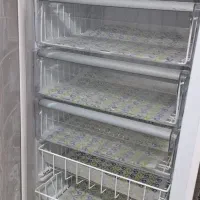 یخچال و فریزر ایستاده|یخچال و فریزر|بندرعباس, |دیوار