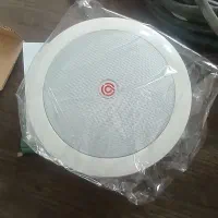 تعدادی اسپیکر باند سقفی اکبند