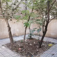 اجاره مسکونی|اجارهٔ خانه و ویلا|محمدشهر, محمدشهر|دیوار