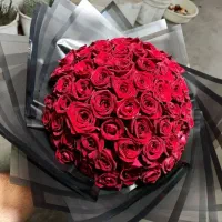 گل رز طبیعی|گل و گیاه طبیعی|مشهد, آزادشهر|دیوار