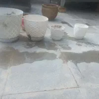 گلدان|گل و گیاه طبیعی|شیراز, شهدای شهرک سعدی|دیوار