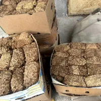 تنباکودرجه یک