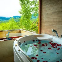 اجاره‌ مجموعه آپارتمان های مبله روزانه  تهران