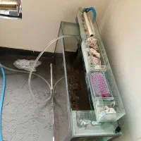 آکواریوم آب شور و شیرین