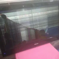 تلویزیون اسنووا