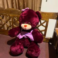 عروسک|اسباببازی بچه|همدان, |دیوار