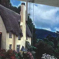 اجاره سوئیت،تمیزمناسب