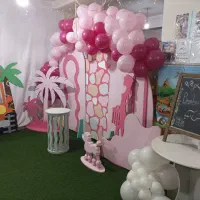 خانه بازی و سالن تولد پینوکیو