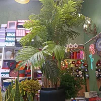 درختچه نخل مصنوعی