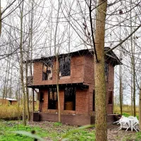 سکونت-در-فضایی-جنگلی-و-رودخانه-ای