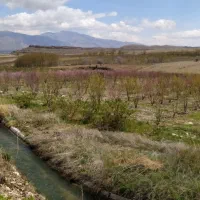 فروش زمین جهت احداث باغ|فروش دفتر صنعتی، کشاورزی، تجاری|کوار, |دیوار