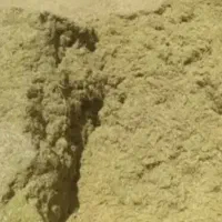 کاه عدس خیلی تمیز