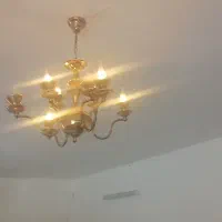 لوستر شاخه نباتی