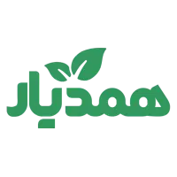 توسعهدهنده وردپرس (دورکاری)