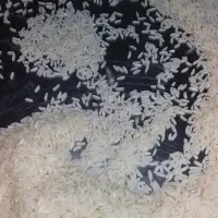 برنج طارم هاشمی اصیل با عطر وطعم بینظیر کشت خودم|خوردنی و آشامیدنی|نکا, |دیوار