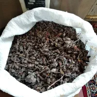 کشمش