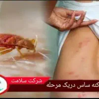 سمپاشی صدرصدتضمینی سم پاشی سوسگ‌وساس و...|خدمات نظافت|پردیس, فاز ۲|دیوار