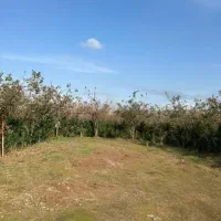 سرایداری باغ