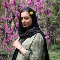 عکاسی فضای باز|خدمات پذیرایی، مراسم|تبریز, |دیوار