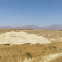 فروش نهاده دامی