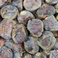خرمای گوشتی و خوش طعم خرمشهر