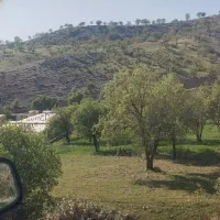 زمین کشاورزی روی آسفالت 1600متر|فروش زمین و ملک کلنگی|سی‌سخت, |دیوار